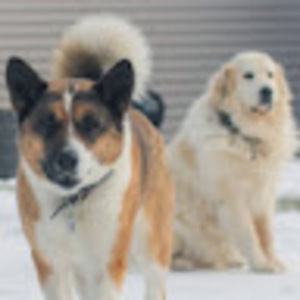 Meet your Posher, Niki